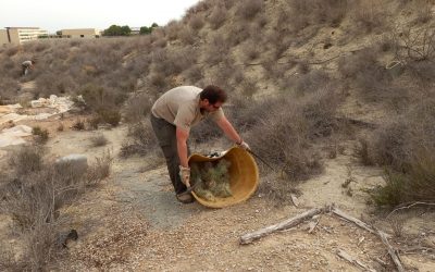 Trabajos de mejora en espacios protegidos y especies silvestres en nuestro municipio